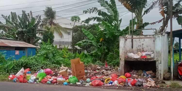 Sampah Menumpuk di Halut, Kadis Salahkan Warga