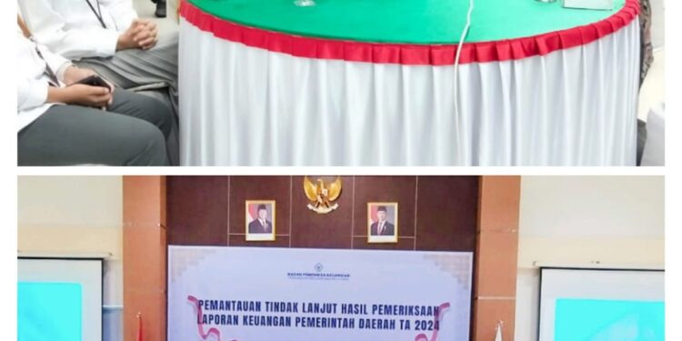 Sekda Halteng Hadiri Pemantauan Tindaklanjut LKD 2024 di BPK Malut