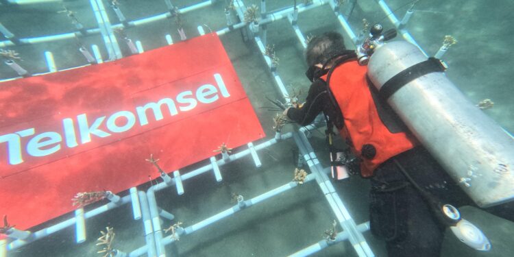 Telkomsel Poin dan BenihBaik Ajak Pelanggan Dukung Konservasi Terumbu Karang di Pantai Malalayang Manado