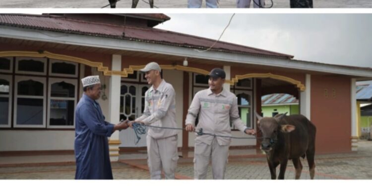 Polres Halteng Qurbankan Sembilan Ekor Hewan, Salurkan 300 Paket Daging untuk Warga Sekitar