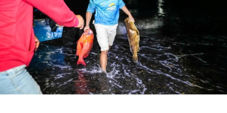 Obi Fishing Tournament 2025: Tangkapan Ikan Melimpah, Produktivitas Perairan Kawasi Terjaga