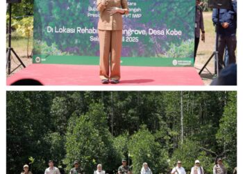 Gubernur Malut dan Pangdam XV/Pattimura Tanam Mangrove di Kawasan Industri IWIP
