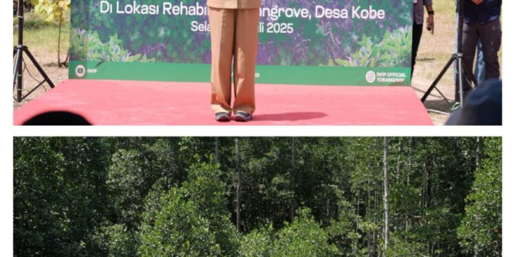 Gubernur Malut dan Pangdam XV/Pattimura Tanam Mangrove di Kawasan Industri IWIP