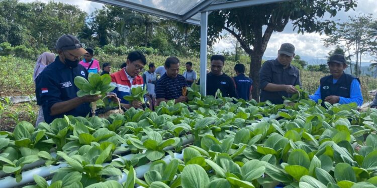 Wayame Hydro Bae, Inovasi Sosial CSR Pertamina Untuk Meningkatkan Ekonomi Masyarakat Desa Wayame Melalui Akses Air Bersih dan Pemberdayaan UMKM