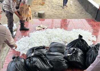 Polsek Jailolo Gagalkan Penyelundupan 800 Bungkus Miras Cap Tikus