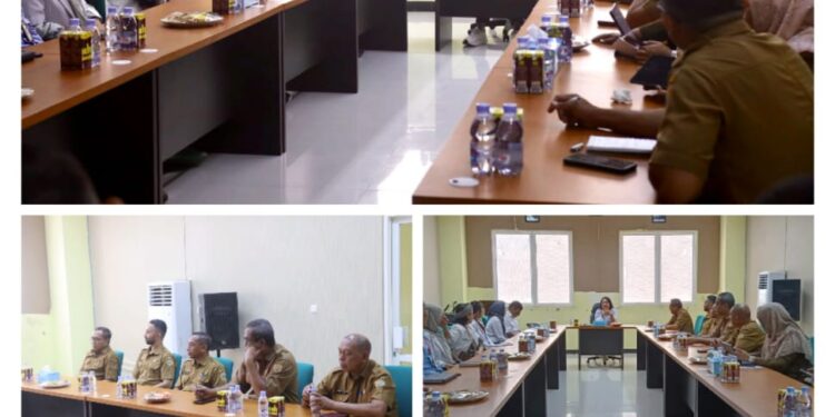 Dirjen Kesehatan Kemenkes Tinjau Layanan Kesehatan di Halmahera Tengah, Siapkan MoU dengan Pemda