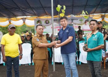 Canangkan Penanaman Pohon Balsa, Bupati Apresiasi Kelompok Tani Gura Ino dan HKTI