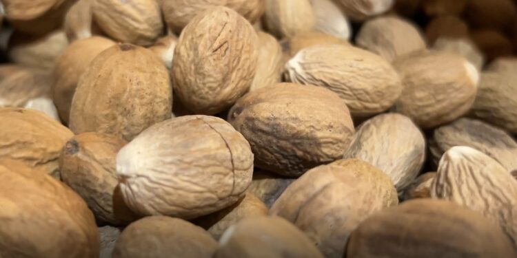 Pala Ternate Ditargetkan Jadi Indikasi Geografis yang Dilindungi