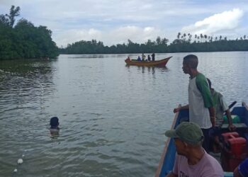 Tragis!  Nenek di Sula Hilang Diterkam Buaya
