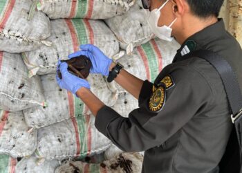 Karantina Maluku Utara Pastikan 52 ton Kopra Bacan Aman Menuju Bitung