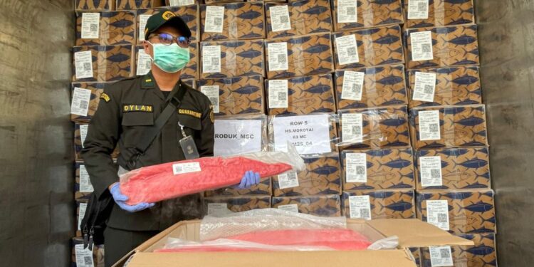 Ekspor Meningkat, Karantina Maluku Utara Pastikan Jaminan Mutu dan Keamanan Tuna Loin