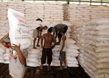 Lindungi Petani, Pupuk Indonesia Tindak Tegas Kios Pupuk Subsidi ‘Nakal’