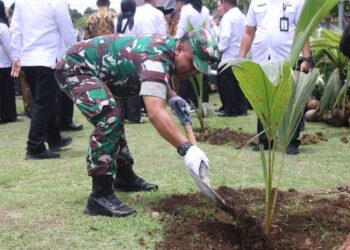 Korem 152/Baabullah Dukung Gerakan Penanaman 5.000 Pohon Kelapa Serentak