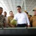 Hilirisasi Kelapa Ubah Nasib Petani Halmahera
