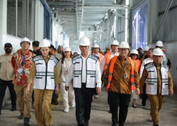 Kelapa Maluku Utara Tembus Tiongkok, Hilirisasi Dongkrak Ekonomi Petani