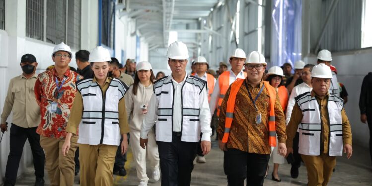 Kelapa Maluku Utara Tembus Tiongkok, Hilirisasi Dongkrak Ekonomi Petani