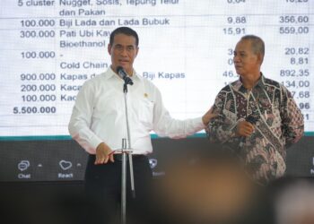 Mentan Amran Minta Kenaikan Harga Beli Kelapa Petani