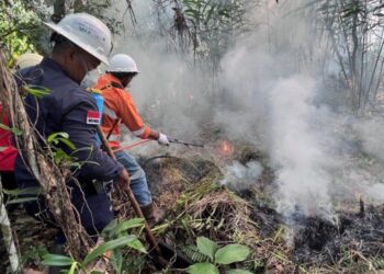 NHM Bangun Budaya Siaga Bencana di Tambang, Dukung Upaya Nasional Pengendalian Karhutla