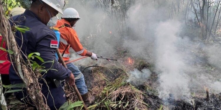 NHM Bangun Budaya Siaga Bencana di Tambang, Dukung Upaya Nasional Pengendalian Karhutla