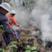 NHM Bangun Budaya Siaga Bencana di Tambang, Dukung Upaya Nasional Pengendalian Karhutla