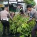 Polisi Bersihkan Pohon Tumbang di Kalumata Ternate
