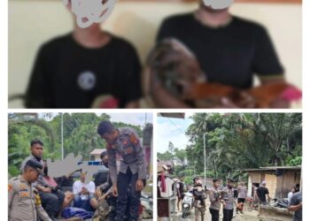 Polres Halteng Bongkar Praktik Judi Sabung Ayam di Desa Lelilef Sawai