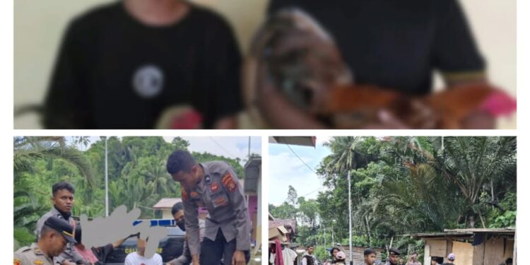 Polres Halteng Bongkar Praktik Judi Sabung Ayam di Desa Lelilef Sawai