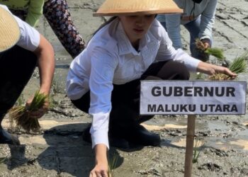 Pemprov Komitmen Jadikan Halmahera Timur Lumbung Pangan Daerah