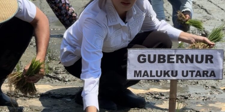 Pemprov Komitmen Jadikan Halmahera Timur Lumbung Pangan Daerah