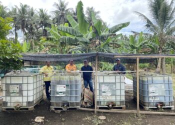 Dukung Ekonomi Lokal, NHM Bantu Fasilitas Budidaya Ikan Nila untuk Desa Soahukum