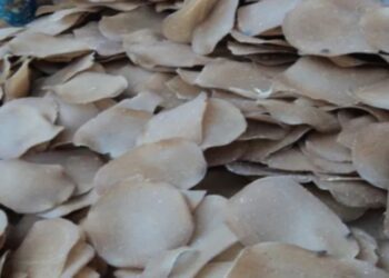 DPRD Malut: Pengembangan Kerupuk Kamplang Bacan untuk Berdayakan Ekonomi Warga