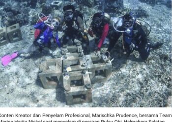 Tak Ingin Berhenti Menyelam! Marischka Prudence Terpukau Keindahan Laut Pulau Obi