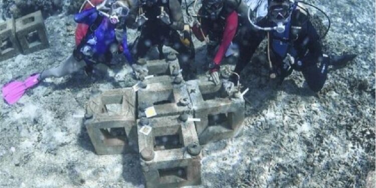 Tak Ingin Berhenti Menyelam! Marischka Prudence Terpukau Keindahan Laut Pulau Obi