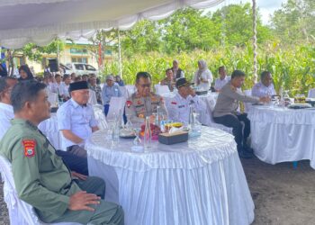 Wagub Ikut Deklarasi Indonesia Swasembada Beras Bersama Presiden