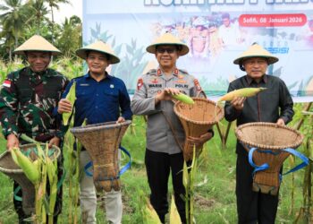 Kapolda Malut Sukseskan Panen Raya Jagung di Sofifi