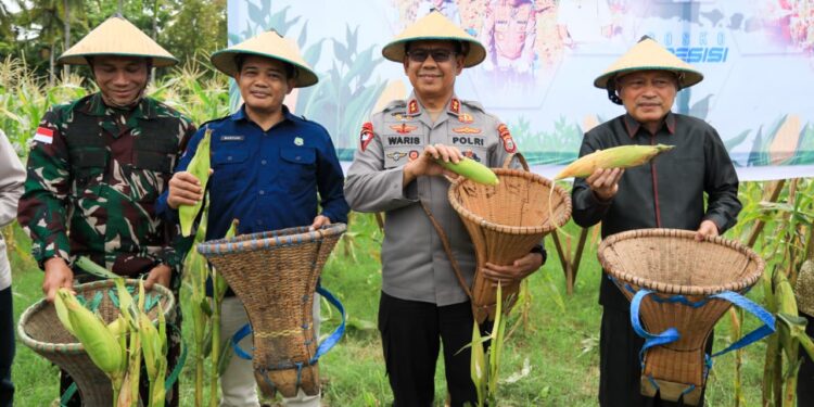 Kapolda Malut Sukseskan Panen Raya Jagung di Sofifi