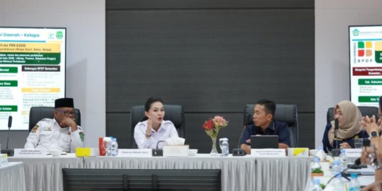 DJPb bersama Gubernur Malut Bahas Kinerja Ekonomi dan Arah Kebijakan APBN 2026