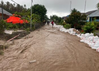 Hujan Deras Hambat Tugas Tim Penanganan Bencana Banjir di Halut