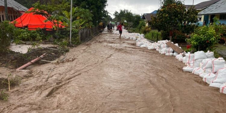 Hujan Deras Hambat Tugas Tim Penanganan Bencana Banjir di Halut