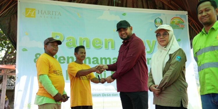 Harita Nickel dan Pemkab Halsel Gelar Panen Raya Padi, Produktivitas Petani Obi di atas Rata-rata Nasional