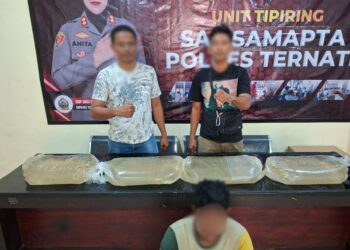 Sat Samapta Polres Ternate Amankan Pelaku dan Barang Bukti Ratusan Liter Cap Tikus